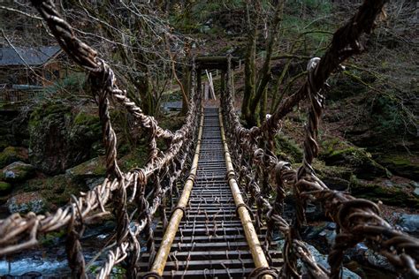 祖屋|奥祖谷二重かずら橋 